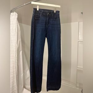 Ann Taylor Factory Jean- Wide Leg